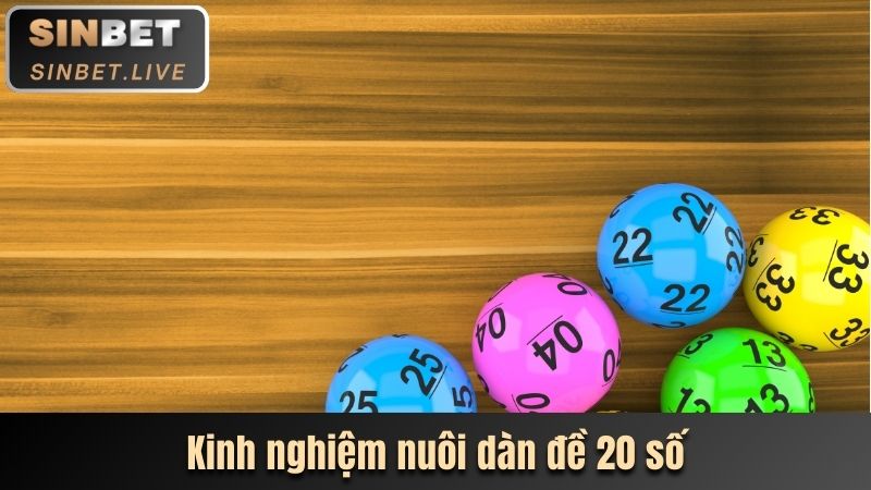 DÀN ĐỀ 20 SỐ LÀ GÌ? BẬT MÍ CÁCH CHƠI DỄ TRÚNG THƯỞNG NHẤT 4 KINH NGHIEM NUOI DAN DE 20 SO