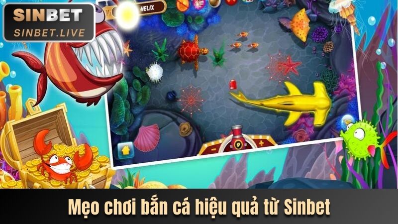 BẮN CÁ ĂN XU - CƠ HỘI CHINH PHỤC XU THƯỞNG KẾCH XÙ 4 MEO CHOI BAN CA HIEU QUA TU SINBET