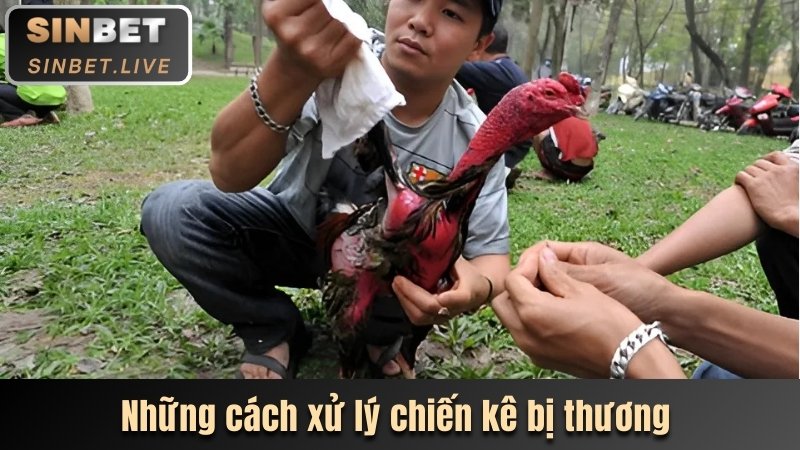ĐÁ GÀ C1 - DỰ ĐOÁN CHÍNH XÁC NHẬN TIỀN THƯỞNG GIÁ TRỊ 4 NHUNG CACH XU LY CHIEN KE BI THUONG